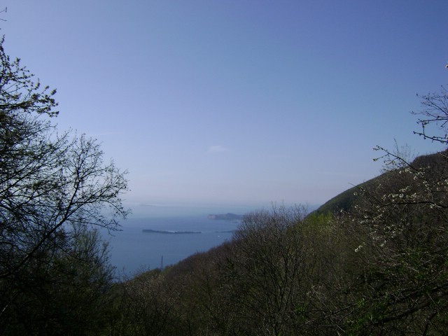Monte Pizzoccolo da Sanico 003.jpg