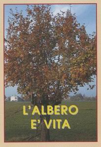 Festa dell'albero