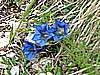 becco_filadonna 001.jpg
