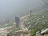 becco_filadonna 005.jpg