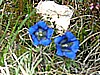 becco_filadonna 015.jpg