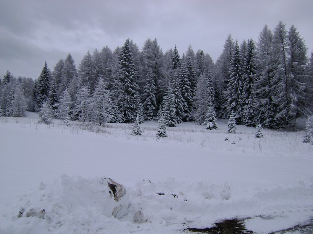 DSC00013.JPG