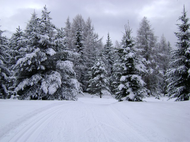 DSC00014.JPG
