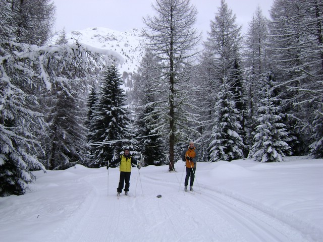 DSC00016.JPG