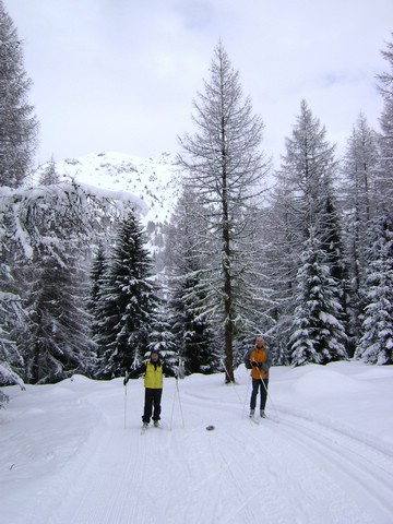 DSC00017.JPG