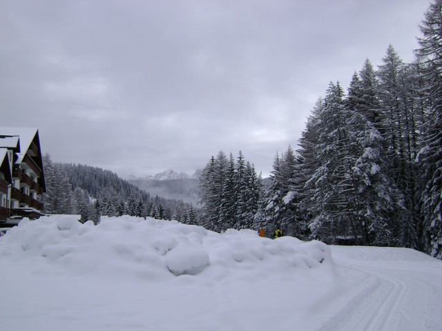 DSC00018.JPG