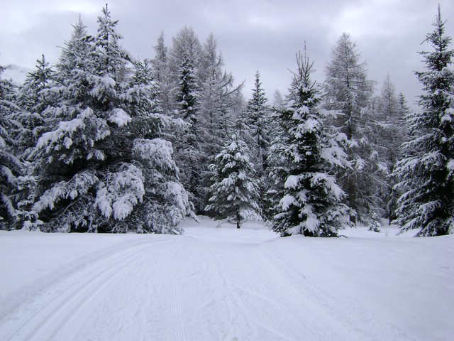 DSC00022.JPG