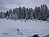 DSC00013.JPG