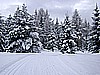 DSC00014.JPG
