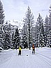 DSC00017.JPG