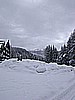 DSC00019.JPG