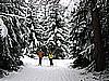 DSC00020.JPG