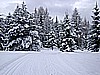 DSC00022.JPG