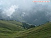 buffaure 001.jpg