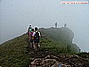 buffaure 003.jpg