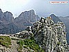 buffaure 010.jpg