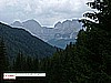buffaure 017.jpg