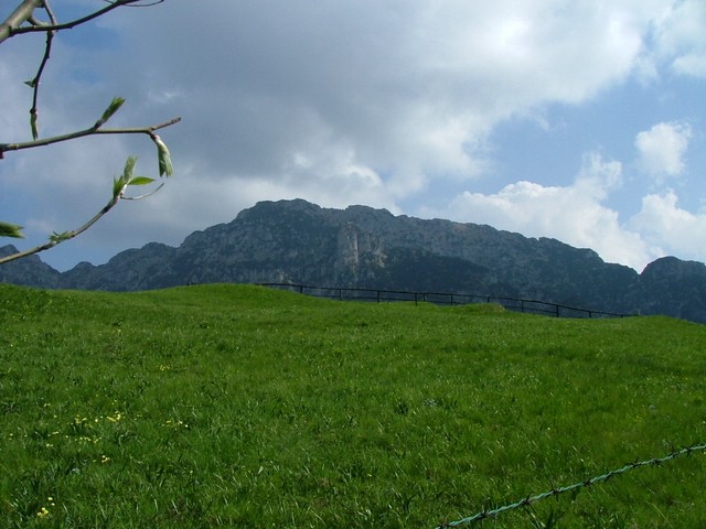 caplone_tombea 005.jpg