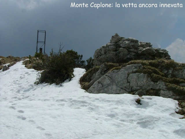 caplone_tombea 018.jpg