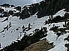 caplone_tombea 017.jpg