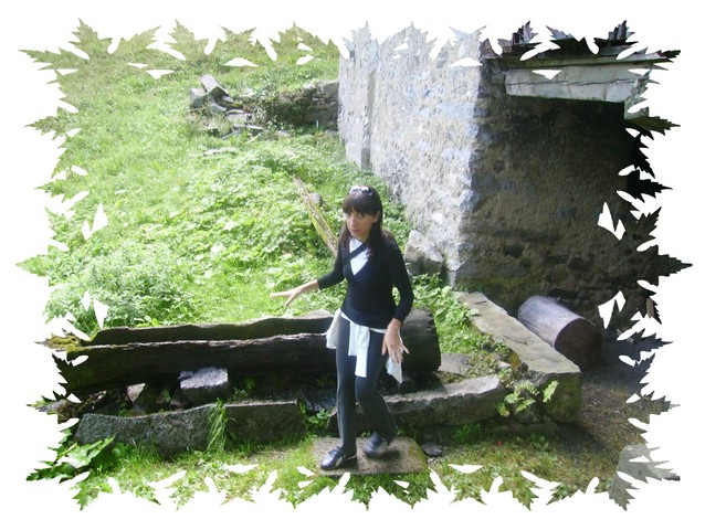 dos del sabion 008.jpg