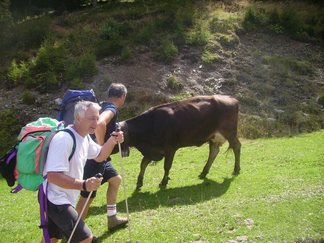 dos del sabion 028.jpg