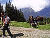 dos del sabion 026.jpg