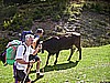 dos del sabion 028.jpg