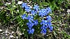 gran_pilastro_08 011.jpg