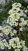 gran_pilastro_08 013.jpg