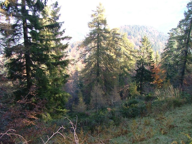 Monte Guglielmo da Passabocche 002.jpg