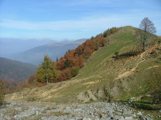 Monte Guglielmo da Passabocche 010.jpg