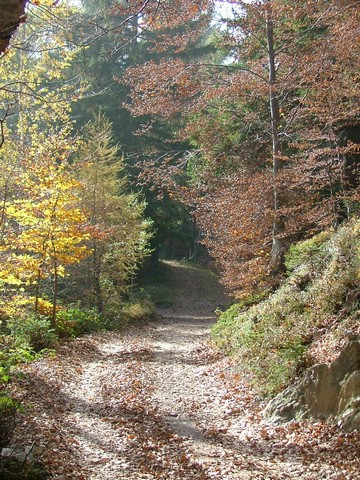 Monte Guglielmo da Passabocche 011.jpg
