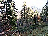 Monte Guglielmo da Passabocche 002.jpg