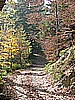 Monte Guglielmo da Passabocche 011.jpg