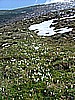 monte_stivo 002.jpg