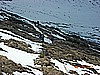 monte_stivo 010.JPG