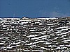 monte_stivo 011.jpg