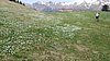 monte visigno 019.jpg