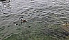 monteisola 006.jpg