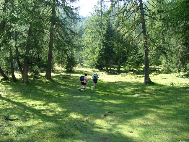 Passo Bregn de l'Ors 05.jpg