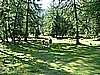Passo Bregn de l'Ors 05.jpg