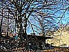 Monte Pizzoccolo 014.jpg