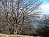 Monte Pizzoccolo 018.jpg