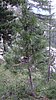 punta_vallaccia 012.jpg