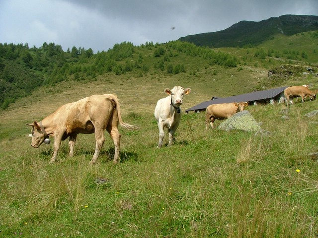 Rifugio Erdemolo 005.jpg