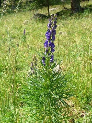 Rifugio Erdemolo 012.jpg
