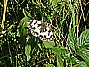 Rifugio Erdemolo 003.jpg
