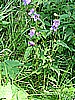 Rifugio Erdemolo 004.jpg