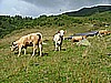 Rifugio Erdemolo 005.jpg